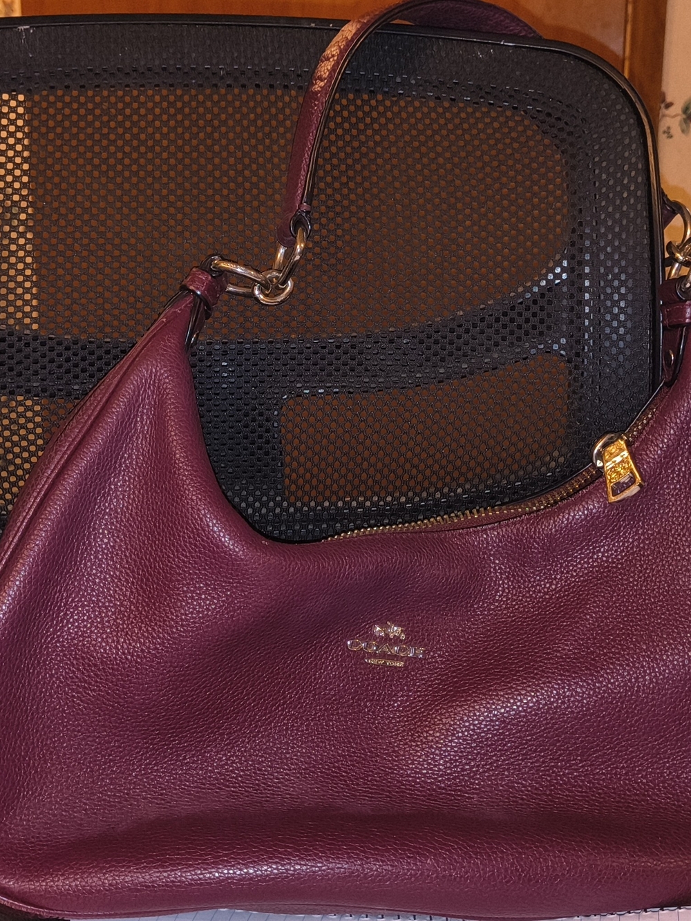 Coach Pebble Leather Shoulder Bag in Plum